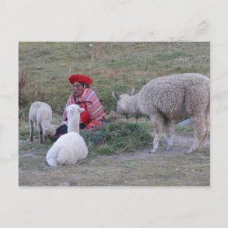 Cartão Postal Highlander com bando