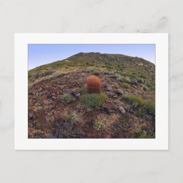 Cartão Postal Hillside Silo (Frente)