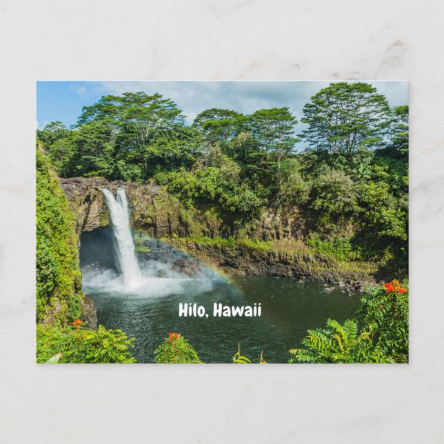 Cartão Postal Hilo, Hawaii Tropical Arco-Íris Cai Cachorro (Frente)