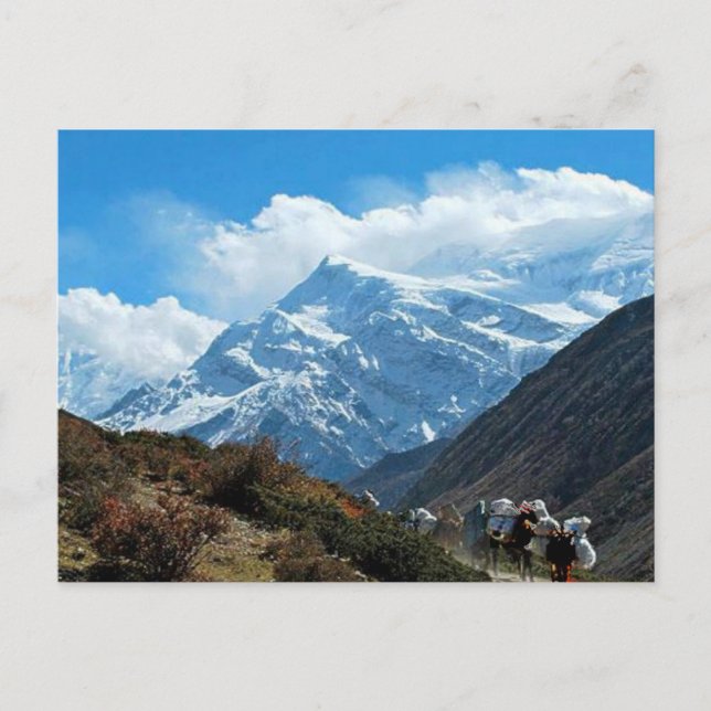 Cartão Postal Himalaya Monte Everest Índia Viagem no Nepal (Frente)