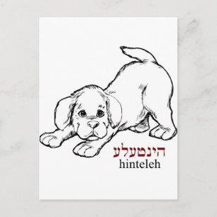 Cartão Postal "Hinteleh"-cachorrinho