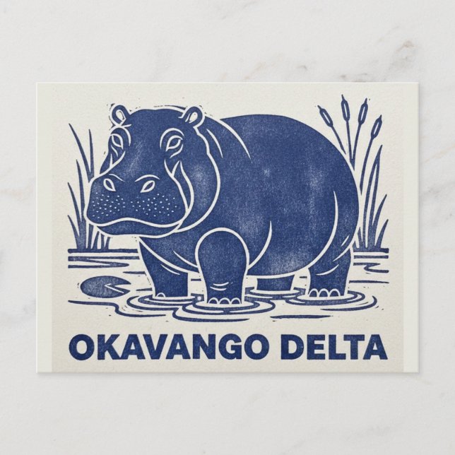 Cartão Postal Hipopótamo no Delta do Okavango Botsuana (Frente)