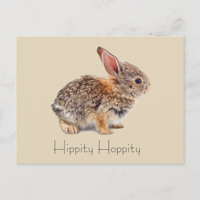 Cartão Postal Hippity Hoppity Cottontail Rabbit (Frente)