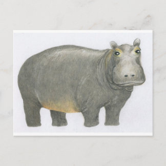 Cartão Postal Hippo Básico