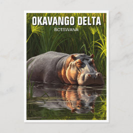 Cartão Postal Hippo no Okavango Delta Botswana