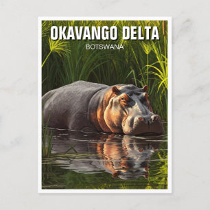 Cartão Postal Hippo no Okavango Delta Botswana