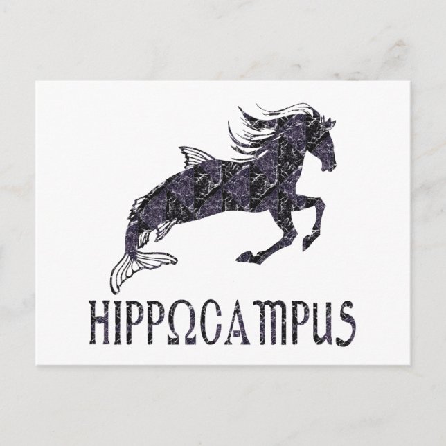 Cartão Postal Hippocampus (Frente)