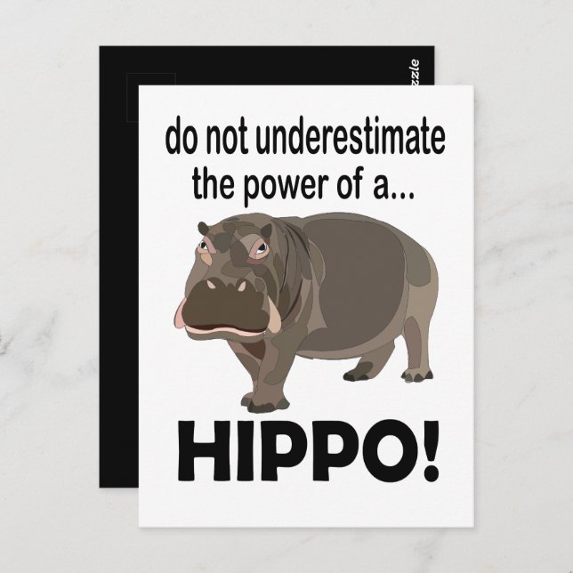 Cartão Postal Hippopotamus Animal Funny Hippo (Frente/Verso)