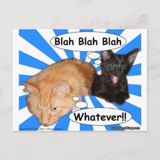 Cartão Postal Hippy Gatinho Blah Blah Blah O Que Quer!