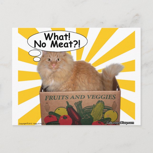 Cartão Postal Hippy Gatinho! Sem carne? (Frente)