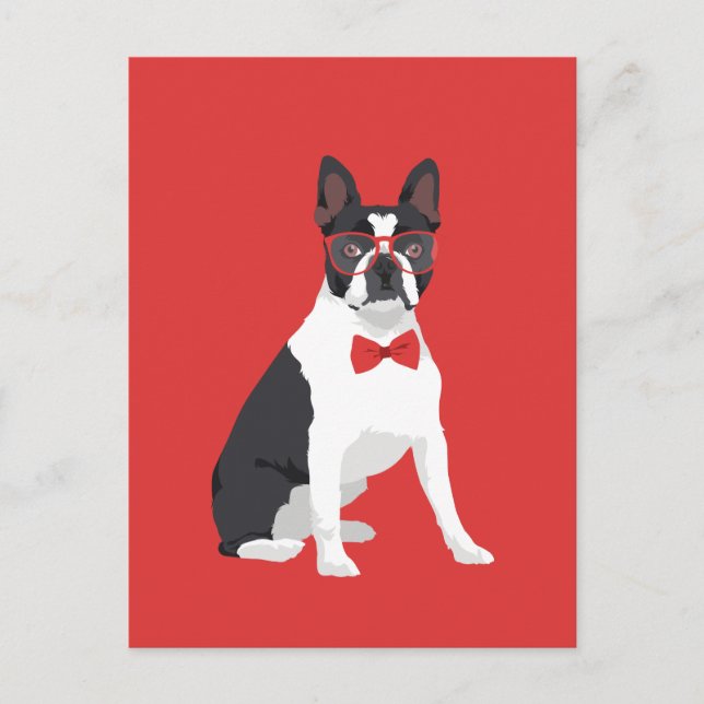Cartão Postal Hipster Boston Terrier com óculos vermelhos e pres (Frente)