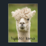 Cartão Postal Hipster Lama Funny Hairdo<br><div class="desc">Este design foi criado através da arte digital. Pode ser personalizado clicando no botão personalizar e alterando a cor, adicionando um nome, iniciais ou as suas palavras favoritas. Entre em contato comigo em colorflowcreations@gmail.com se você quiser usar este design em outro produto. Compre minha pintura de acrílico abstrato original para...</div>
