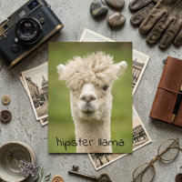 Hipster LLama Penteado Engraçado