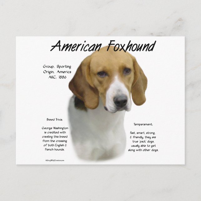 Cartão Postal História Americana De Foxhound, Tudo Sobre Foxhoun (Frente)