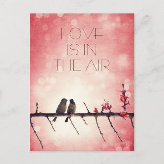Cartão Postal História de aves de amor