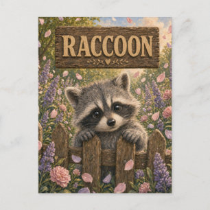 Cartão Postal História de Bebê Guaxinim Fofa Livro Infantil Berç
