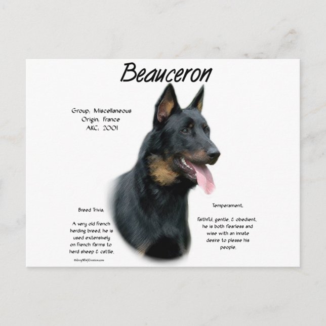 Cartão Postal História do Beauceron; Tudo sobre os Beaucerons (Frente)