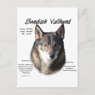 Cartão Postal História do Vallhund Sueco