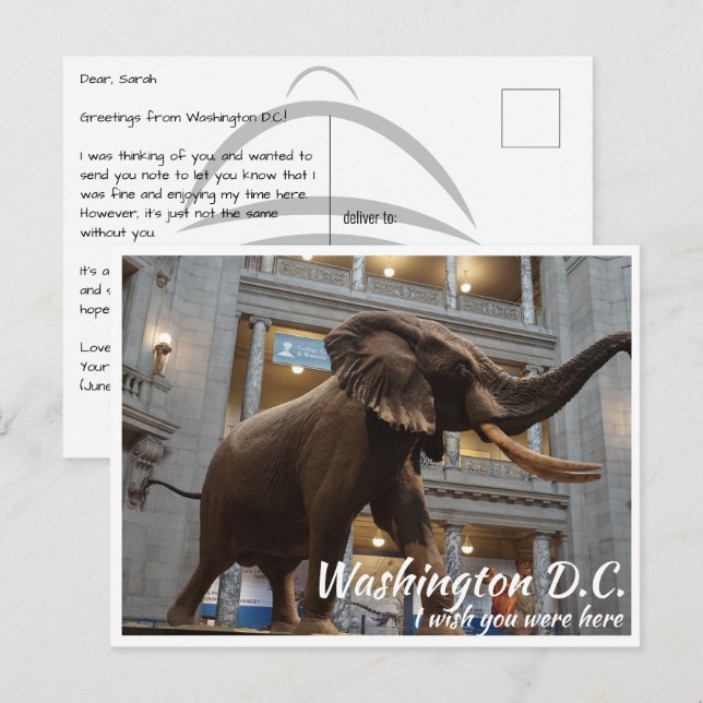 Cartão Postal História Nacional do Museu Smithsoniano de Washing (Frente/Verso)