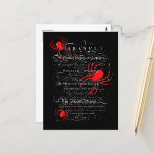 Cartão Postal História Natural Título Página Aranhas Caligrafia