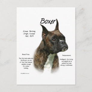 Cartão Postal Histórico de Boxer do Brindle