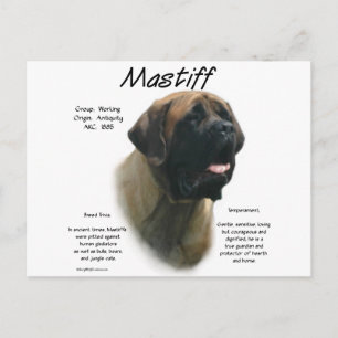Cartão Postal Histórico de Mastiff Apricot