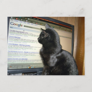 Cartão Postal Hmmmmmm....