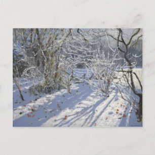 Cartão Postal Hoar Frost Markeaton Derby.UK.2012