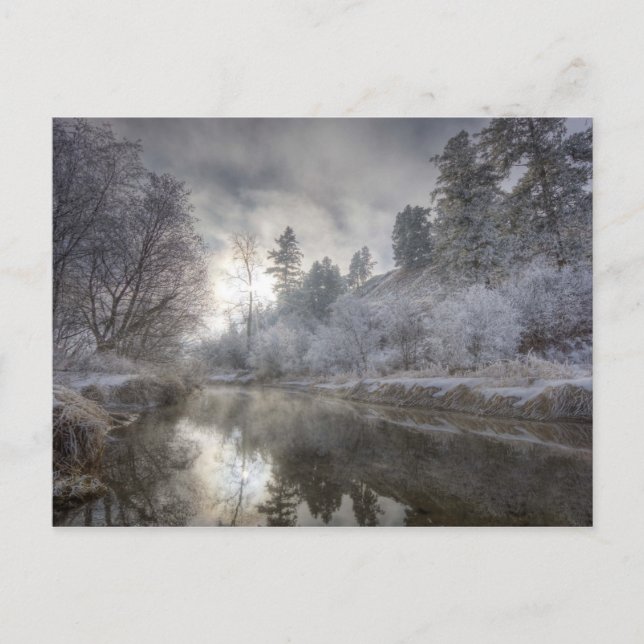 Cartão Postal Hoarfrost ao longo de uma tocha na Ilha Kelly (Frente)