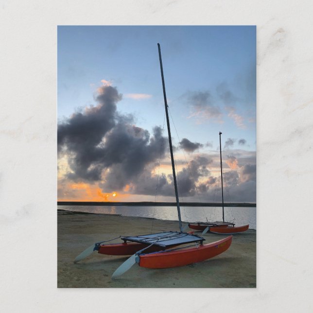 Cartão Postal Hobie Cat Catamarans Sailboat Beach Sunset (Frente)