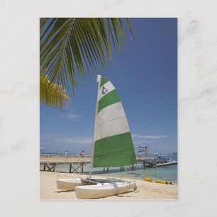 Cartão Postal Hobie Cat, Resort da Ilha Plantation