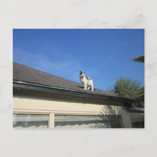 Cartão Postal Hoch hinaus