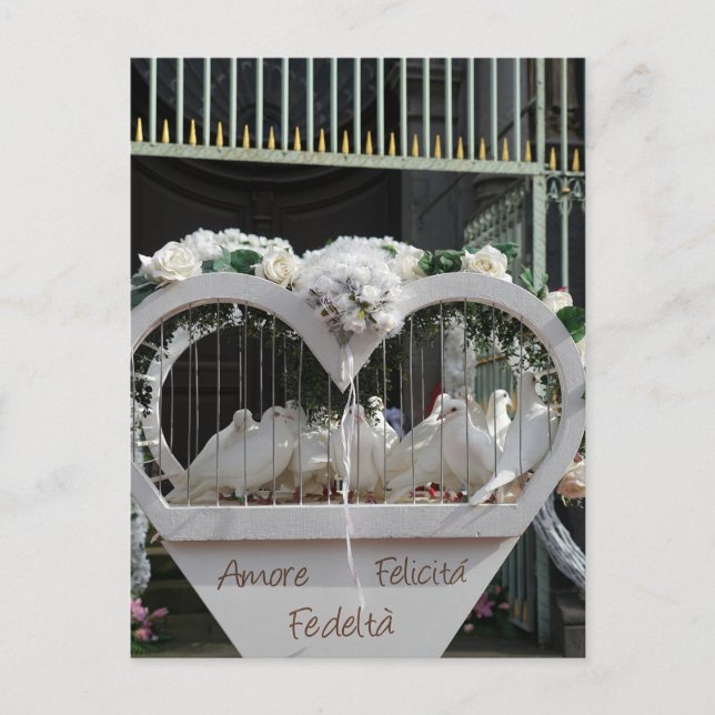 Cartão Postal Hochzeits Tauben warten auf das Brautpaar (Frente)