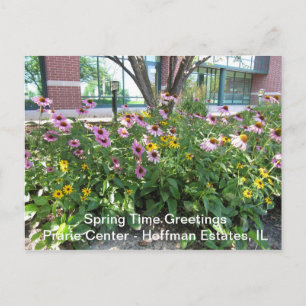Cartão Postal Hoffman Estates, Illinois Prarie Center Saudação P