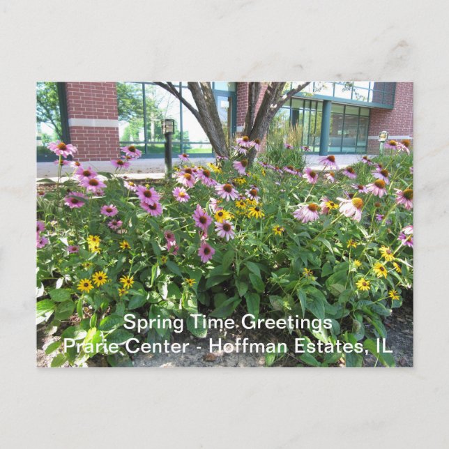 Cartão Postal Hoffman Estates, Illinois Prarie Center Saudação P (Frente)