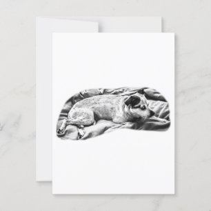 Cartão Postal Holiday Hello da Bed and Blanket