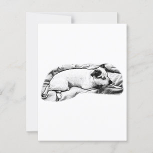 Cartão Postal Holiday Hello de Blanket e Buddy