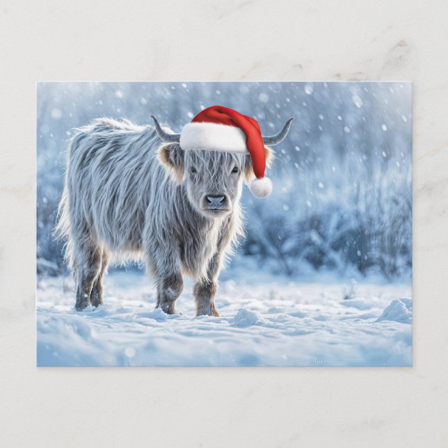 Cartão Postal Holiday Highland Calf in the Snow Cute (Frente)