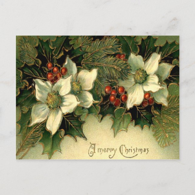 Cartão Postal Holly (Frente)
