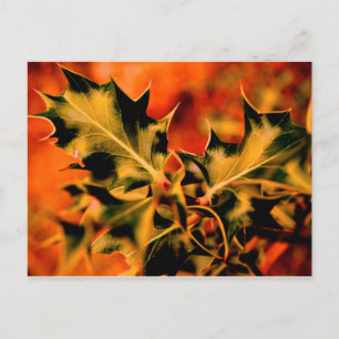 Cartão Postal Holly