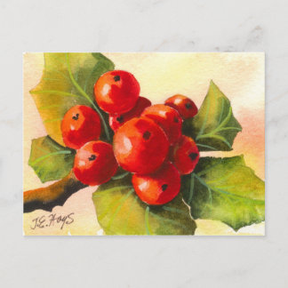 Cartão Postal Holly Berries