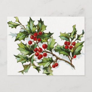 Cartão Postal Holly Berries 002
