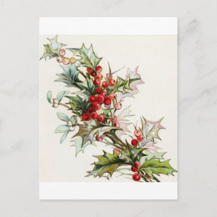 Cartão Postal Holly Berries 004