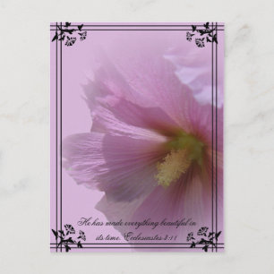 Cartão Postal Hollyhock Rosa