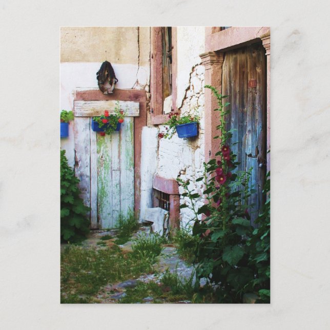 Cartão Postal Hollyhocks e Flores do Jardim Inglês (Frente)