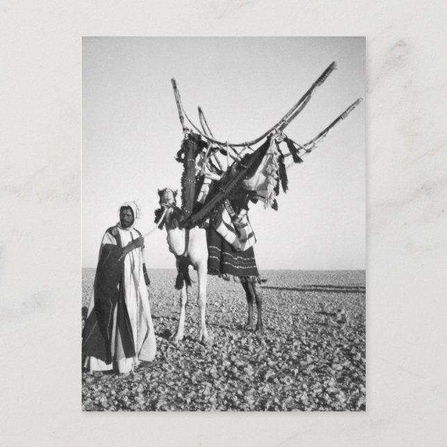 Cartão Postal Homem beduíno e camelo, Síria (Frente)