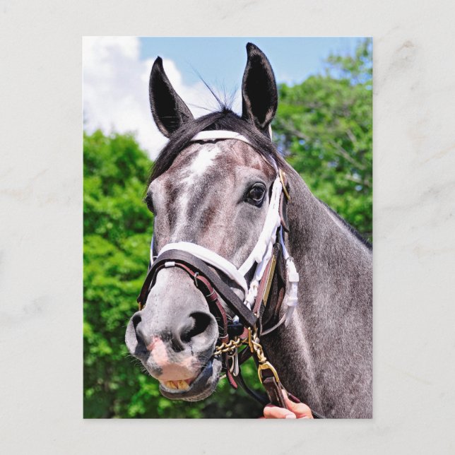 Cartão Postal Homem de um rei (Frente)