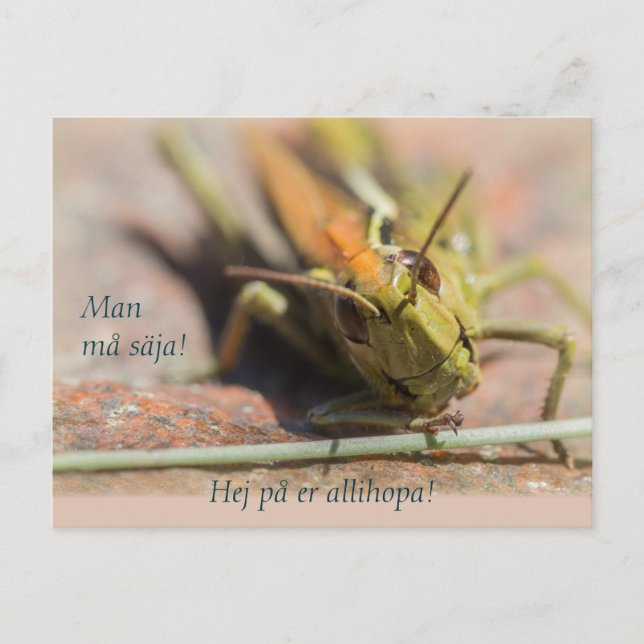 Cartão Postal Homem Må säja! Gräshoppa med personlighet CC0775 (Frente)