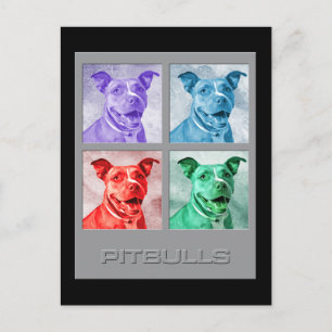 Cartão Postal Homenagem a Pitbulls