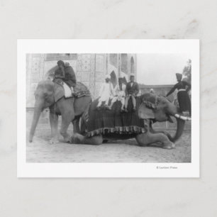 Cartão Postal Homens Andando Elefantes na Índia FotografiaÍndi